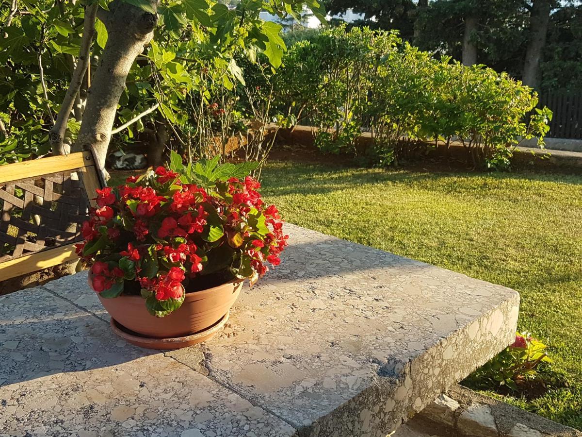Apartment Casa Croatia Punat